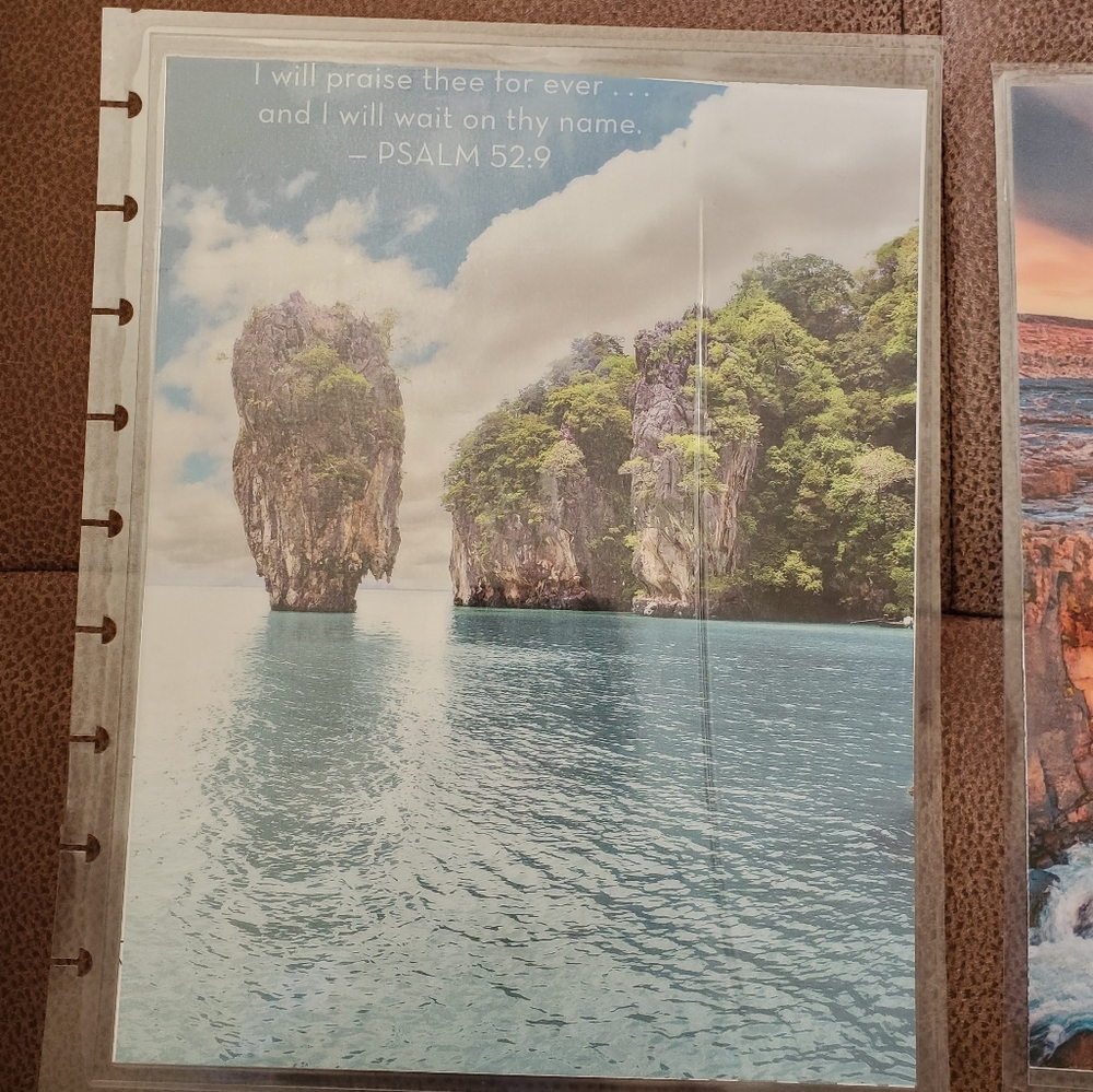 Handmade cover For A Classic Sized Disc Bound Planner Psalm 52:9 beach *defects*